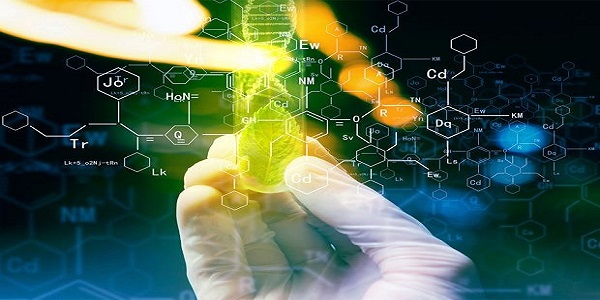 Prémio Internacional UNESCO-Guiné Equatorial para a Investigação em Ciências da Vida